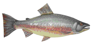 Picture of a papier maché Char fish