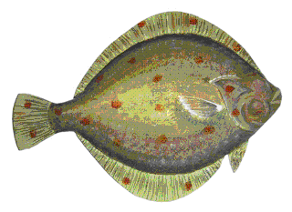 Picture of a papier maché Plaice fish